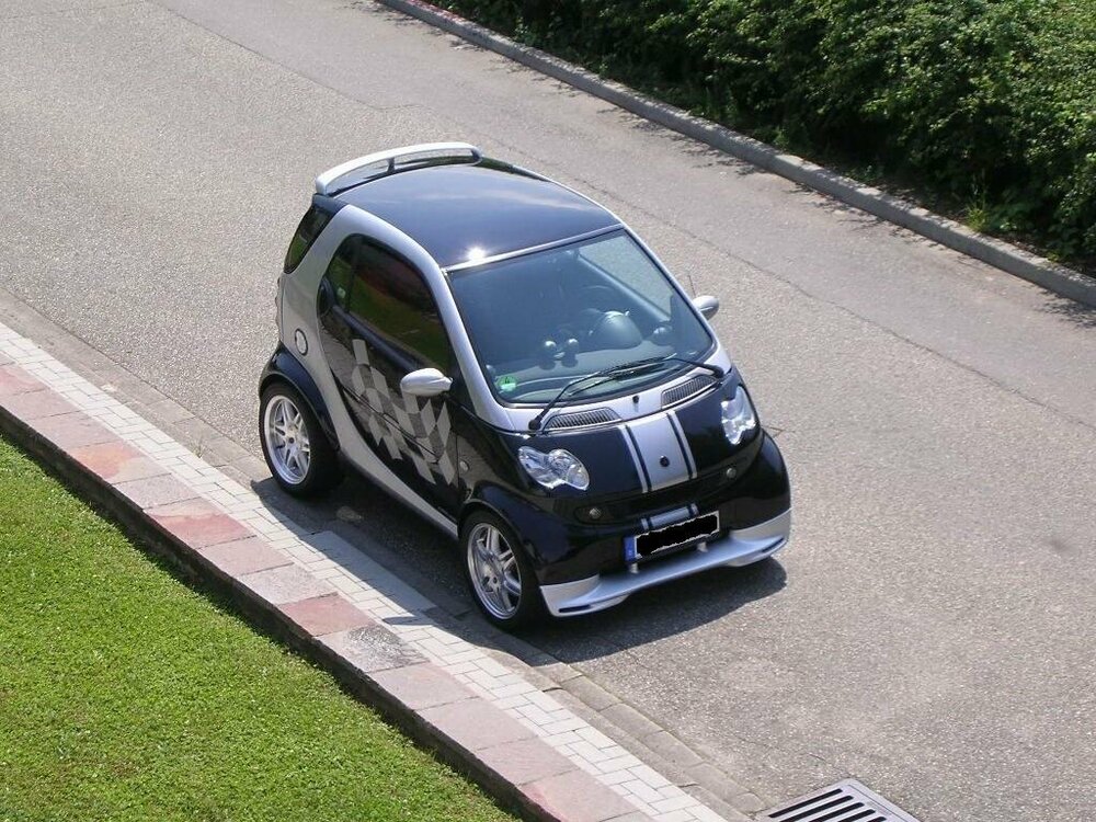 Smart Nicole 2008.jpg