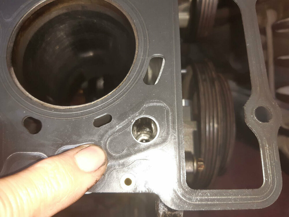 Kopfdichtung 1 (2).jpg