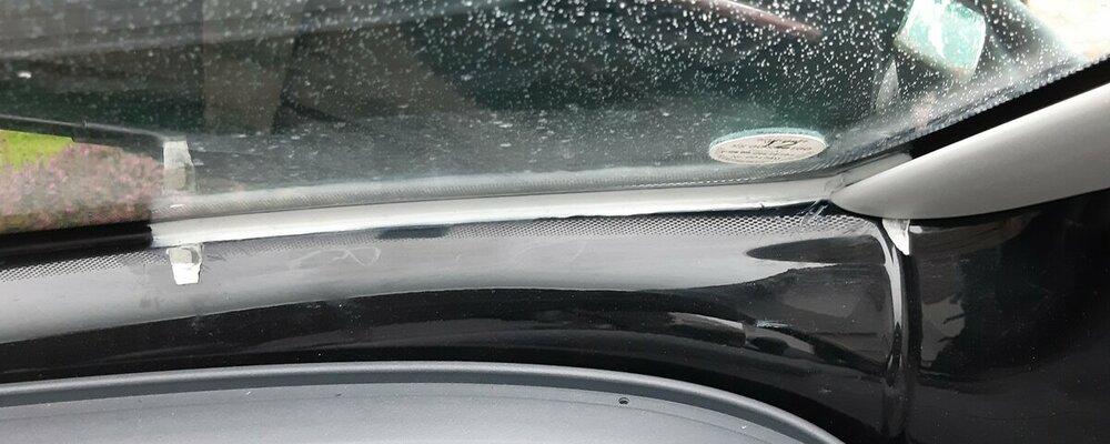 20210131_094520 red..jpg