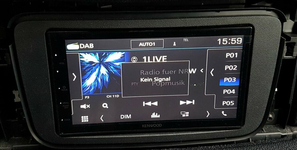 kein DAB signal.jpg