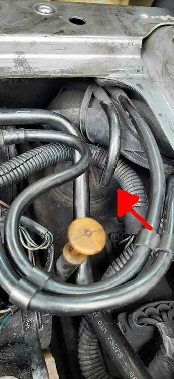 Smart Schlauch_1.jpg