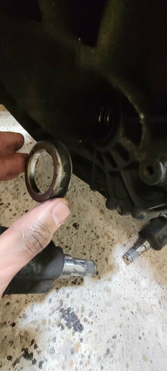 20211115_213539 (Mittel).jpg