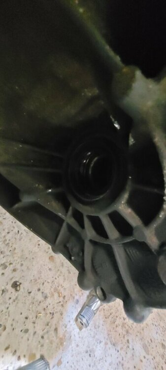 20211115_213543 (Mittel).jpg