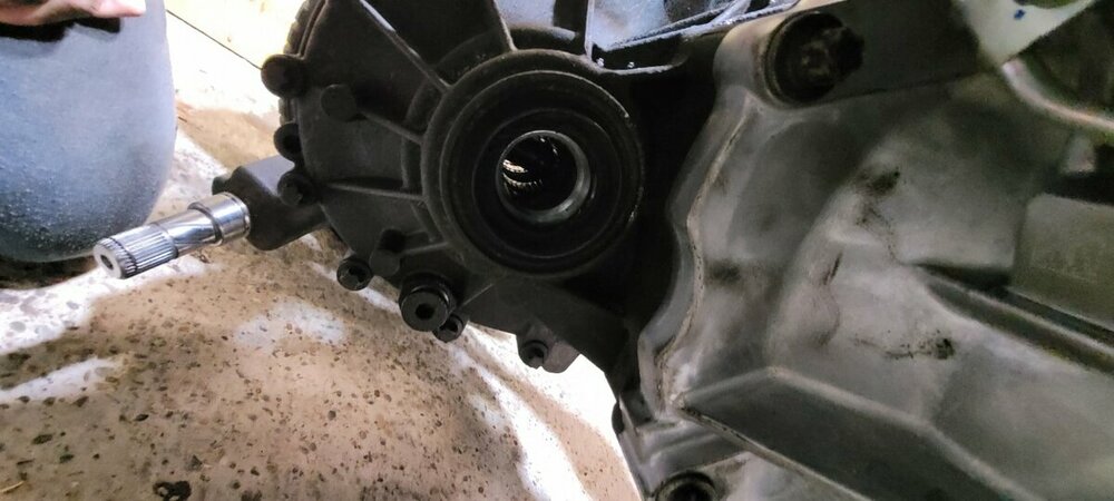 20211115_213549 (Mittel).jpg