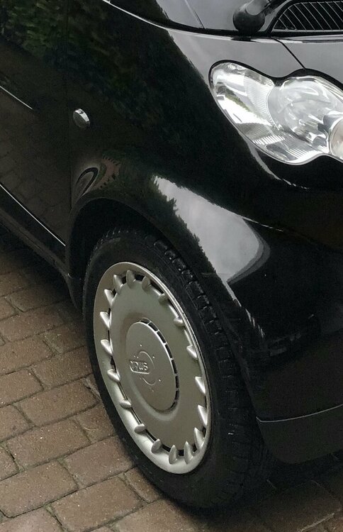 Nur wieder gewaschen.jpg