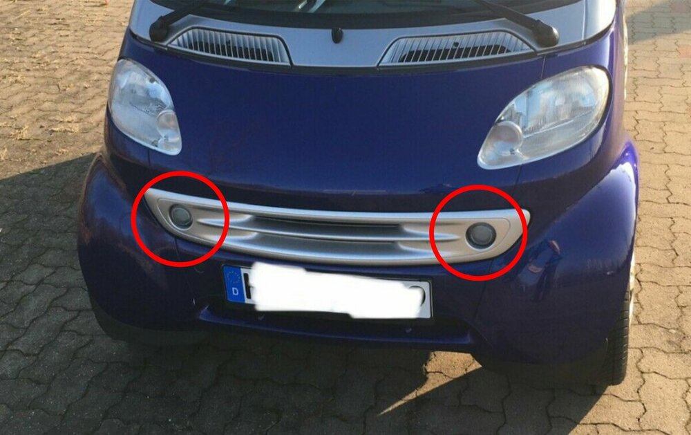 Smart Tagfahrlicht.jpg