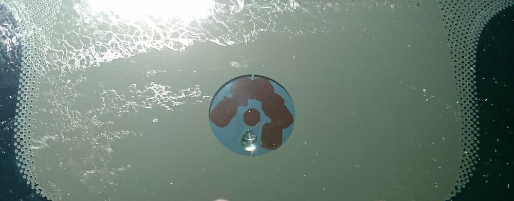 Sensor Windschutzscheibe.jpg