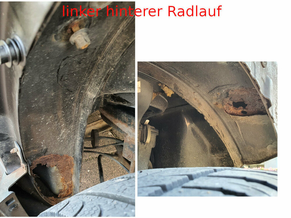 Radlauf_hinten_li_x.jpg
