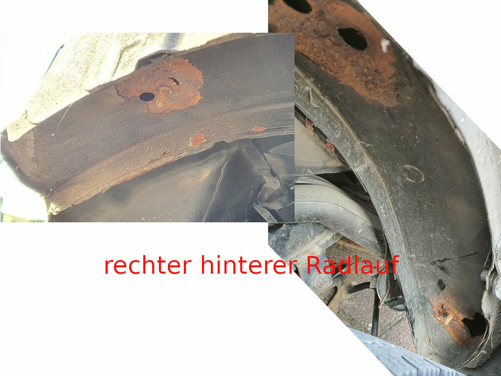 Radlauf_hinten_re_x.jpg