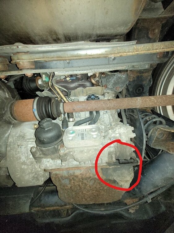 Smart unten (Copy).jpg