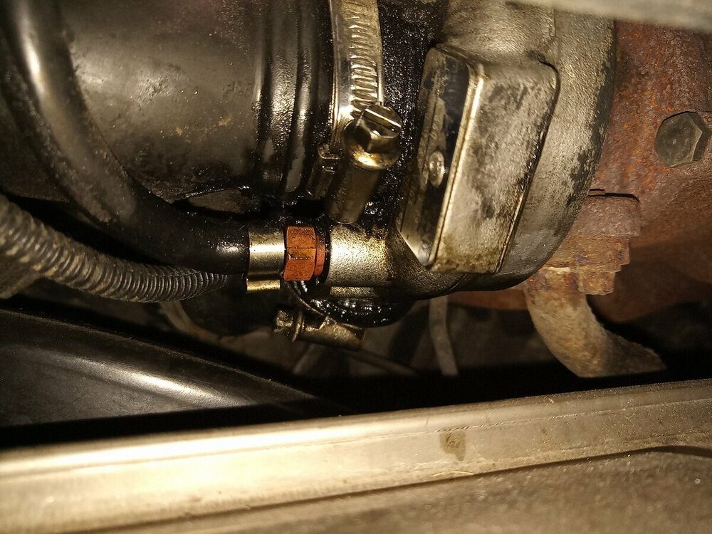 CDI 2Schlauchschelle.jpg