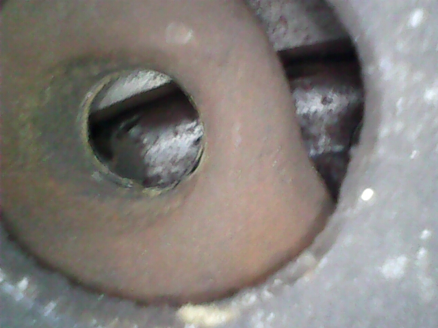 Image_2024-01-21 13_19_30_414.jpg