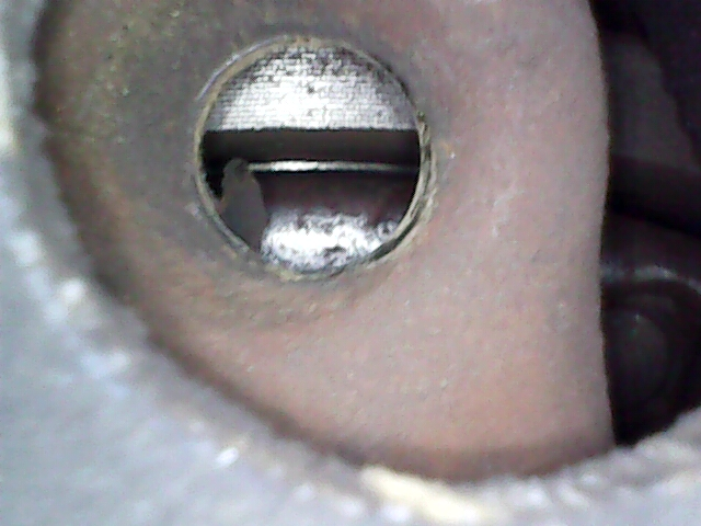 Image_2024-01-21 13_20_20_228.jpg