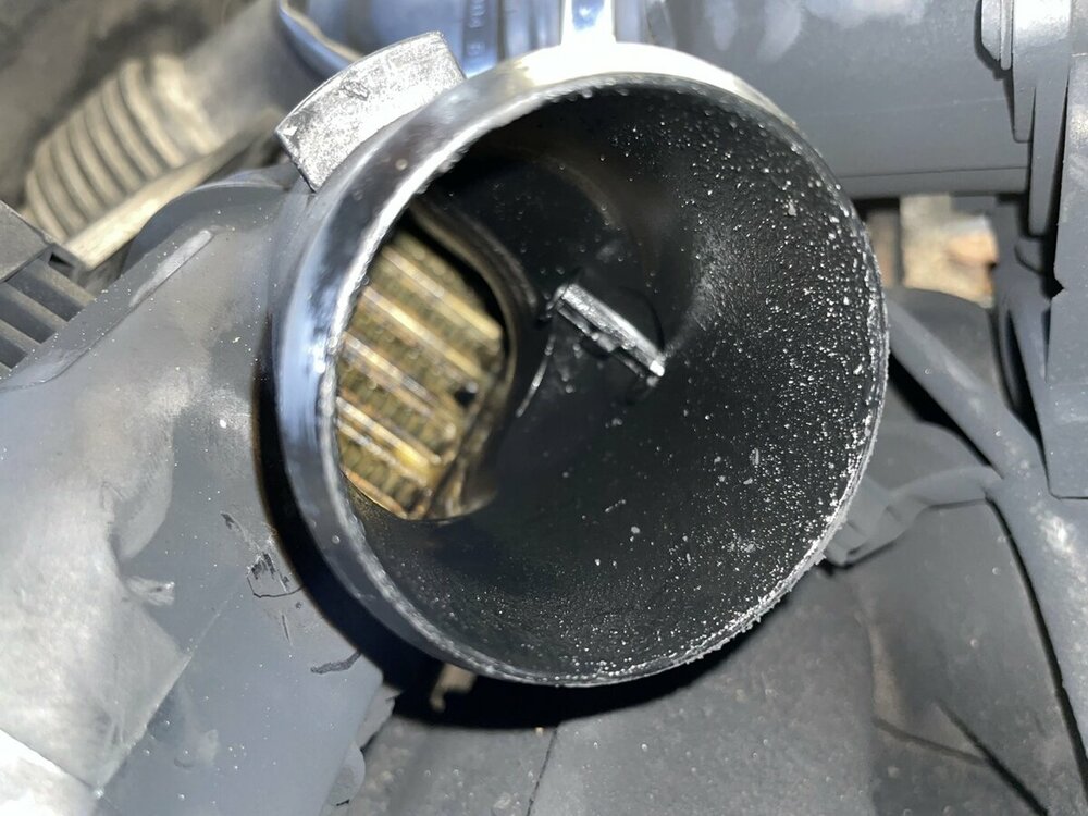 Groß (IMG_8959).jpeg