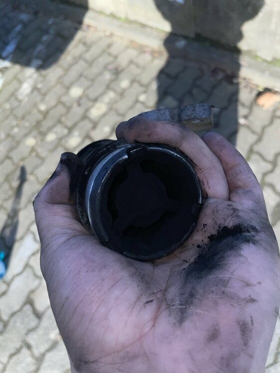 Groß (IMG_8960).jpeg