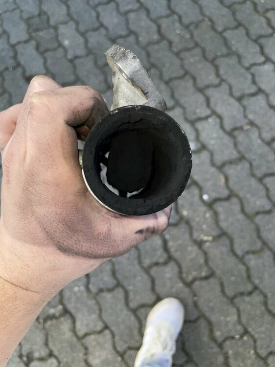 Groß (IMG_8961).jpeg