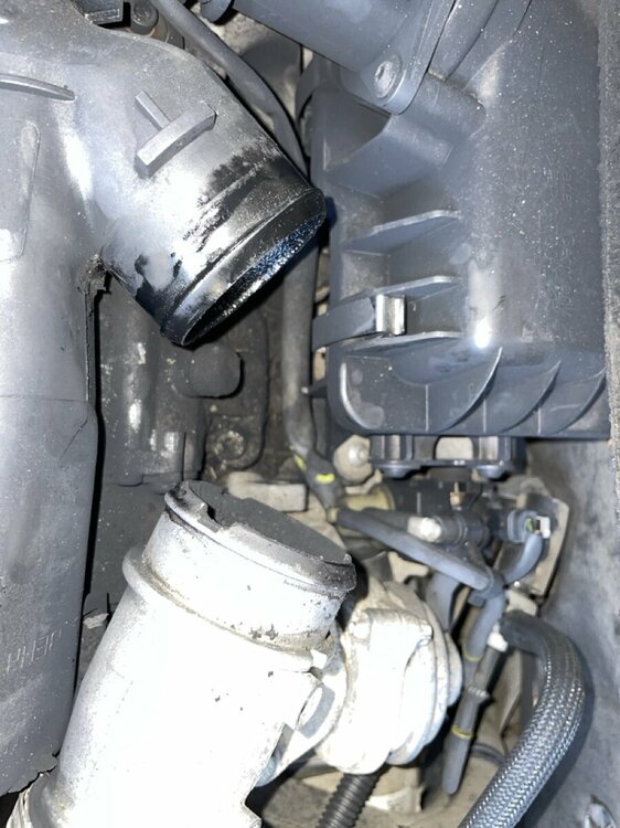 Groß (IMG_8957).jpeg