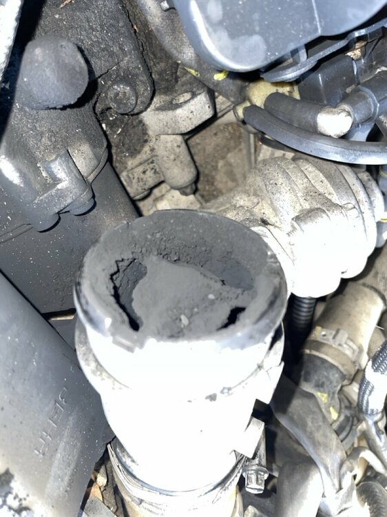 Groß (IMG_8958).jpeg