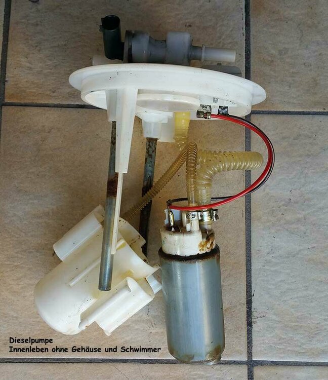 Dieselpumpe-Innenleben.thumb.jpg.89a7b34768994ab3b14c4aa77baaffee.jpg