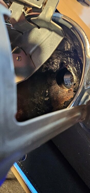 20241019_120338 (Mittel).jpg