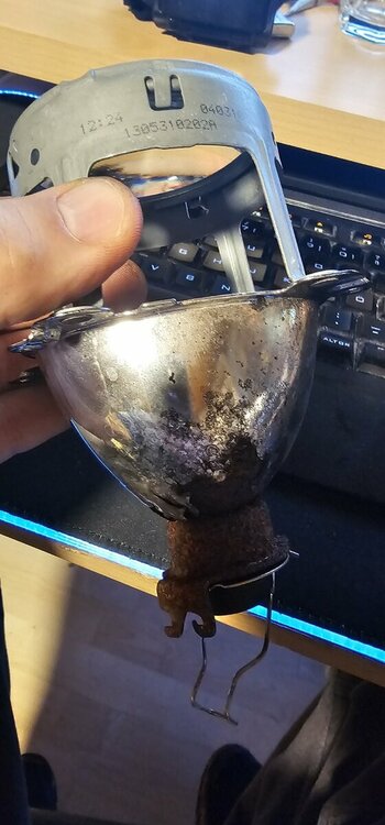 20241019_120328 (Mittel).jpg