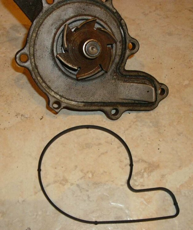 Dichtung Wasserpumpe.jpg