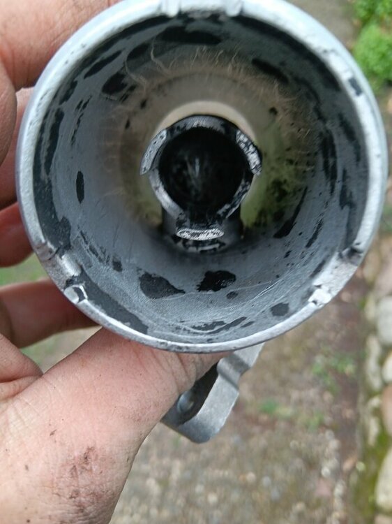 20240331_160955 - Kopie.jpg