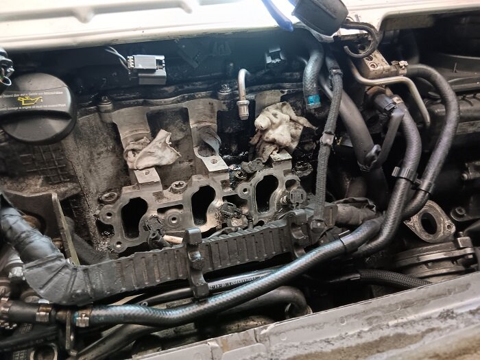 20240313_152348 - Kopie.jpg