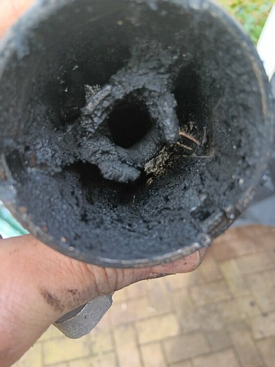 20240331_151505 - Kopie.jpg