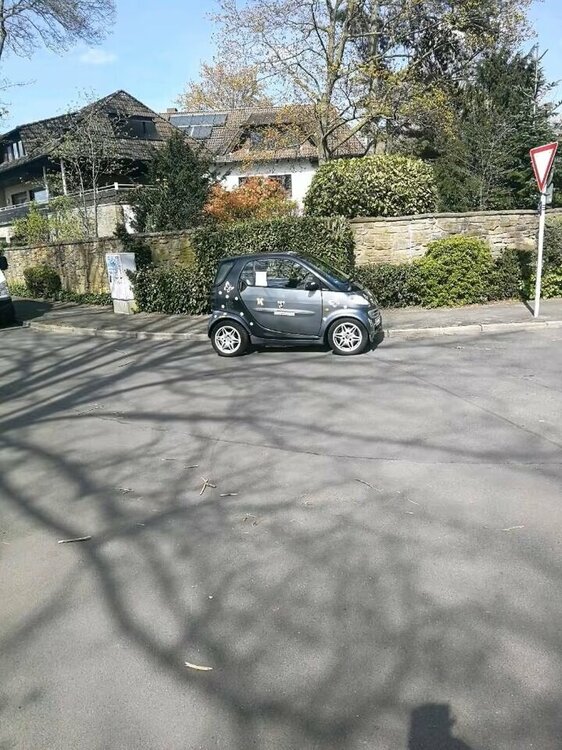 Smart u Ryna.jpg