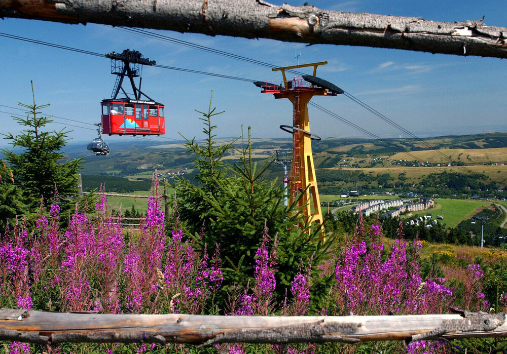 fichtelbergbahn.thumb.jpg.e4565d05087ca8c274503b264b5d47d7.jpg
