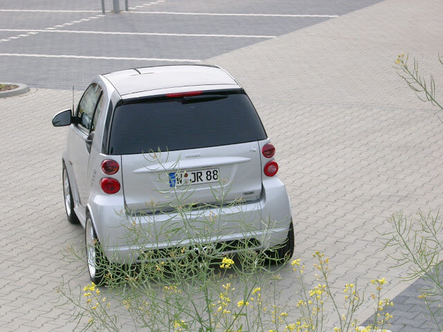 smart_hinten_1_2009.jpg
