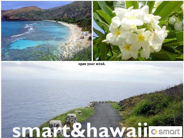 smart-hawaii.jpg