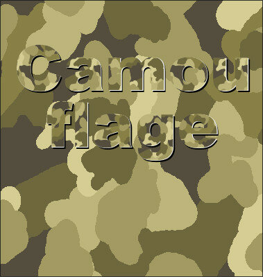 camouflage.jpg