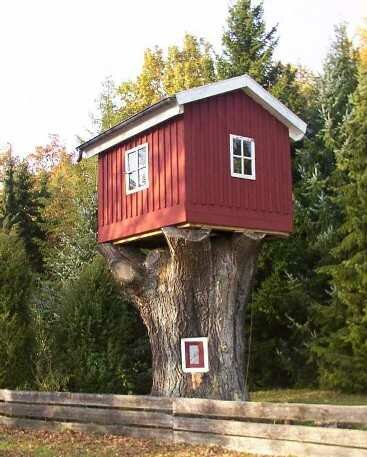 baumhaus.jpg