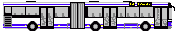 Abb-MAN-NG313-Gelenkbus-WSW.gif