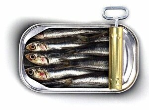 sardines.jpg